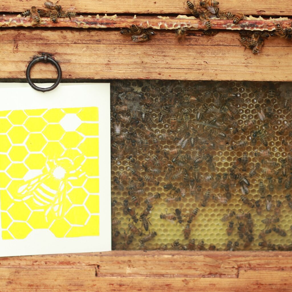 Handbedruckte Karte mit einem Linoldruck der eine Biene auf Bienenwaben zeigt, im Hintergrund Bienen